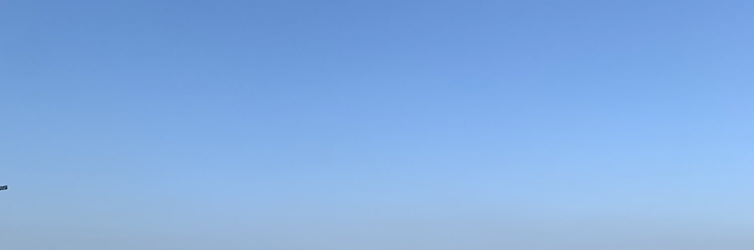 amielledt's profile banner image
