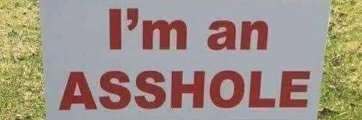Rin Tin TIM banner