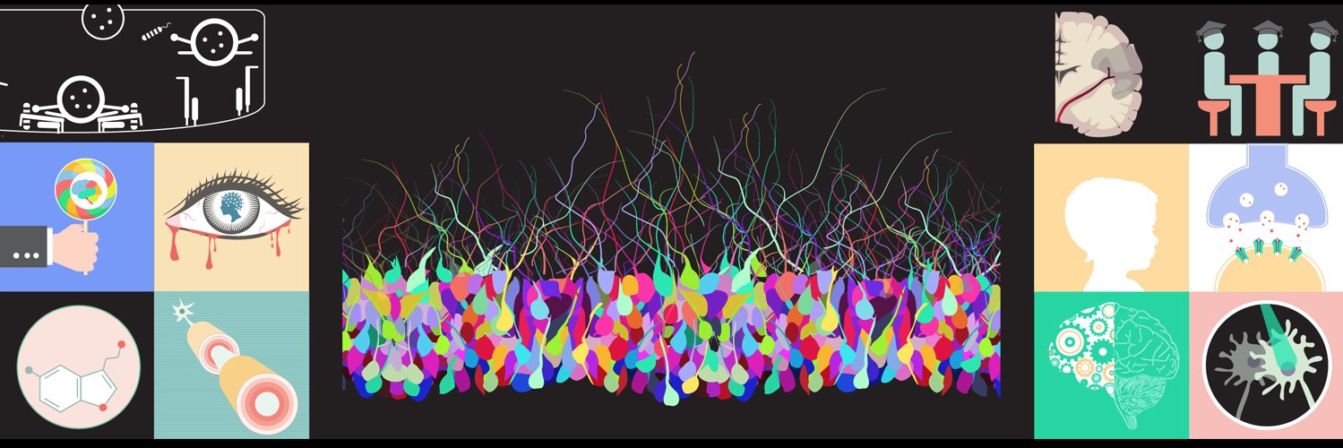 Knowing Neurons's banner