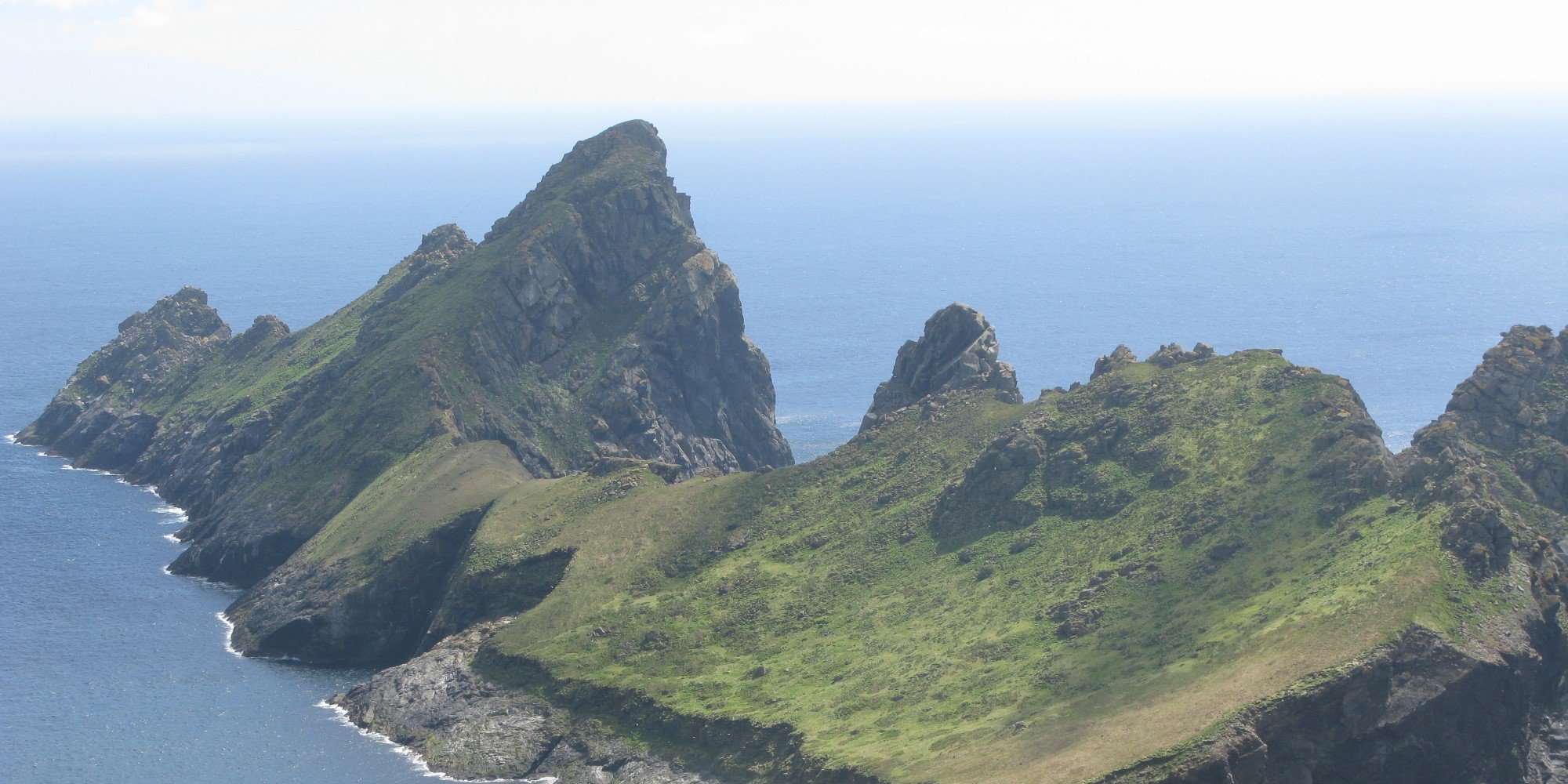 Andy Appleton banner