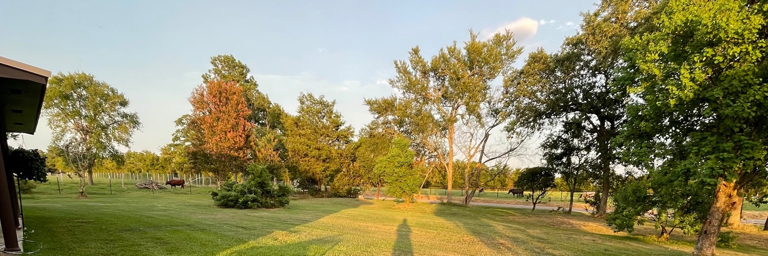 jaylynnscraps's profile banner image