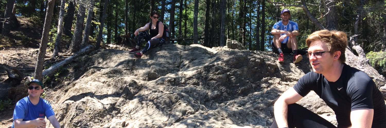 Mark Lee Simon banner