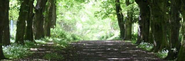 Gallivanting.ie banner