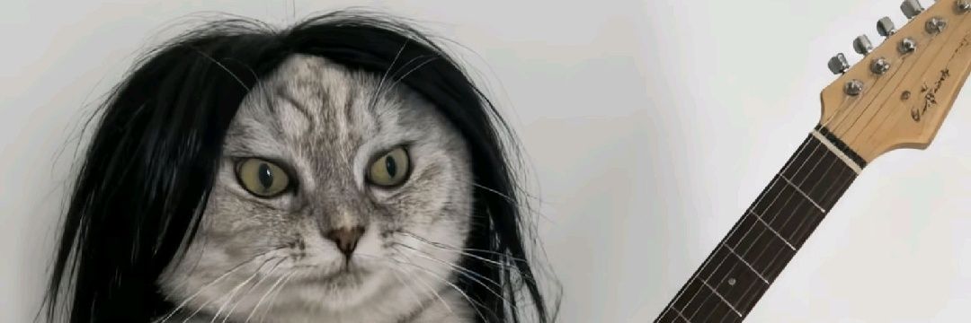 Master_ErMeow's profile banner image