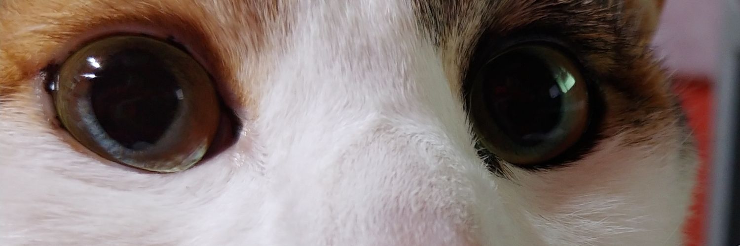 Quatrob23's profile banner image