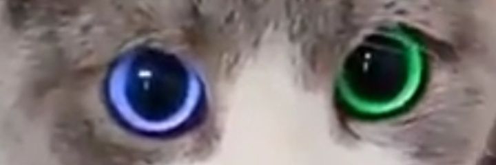 ramadanoz34's profile banner image
