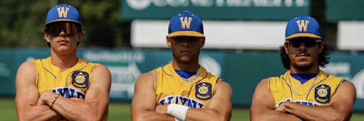 Gabriel Luke Adams banner