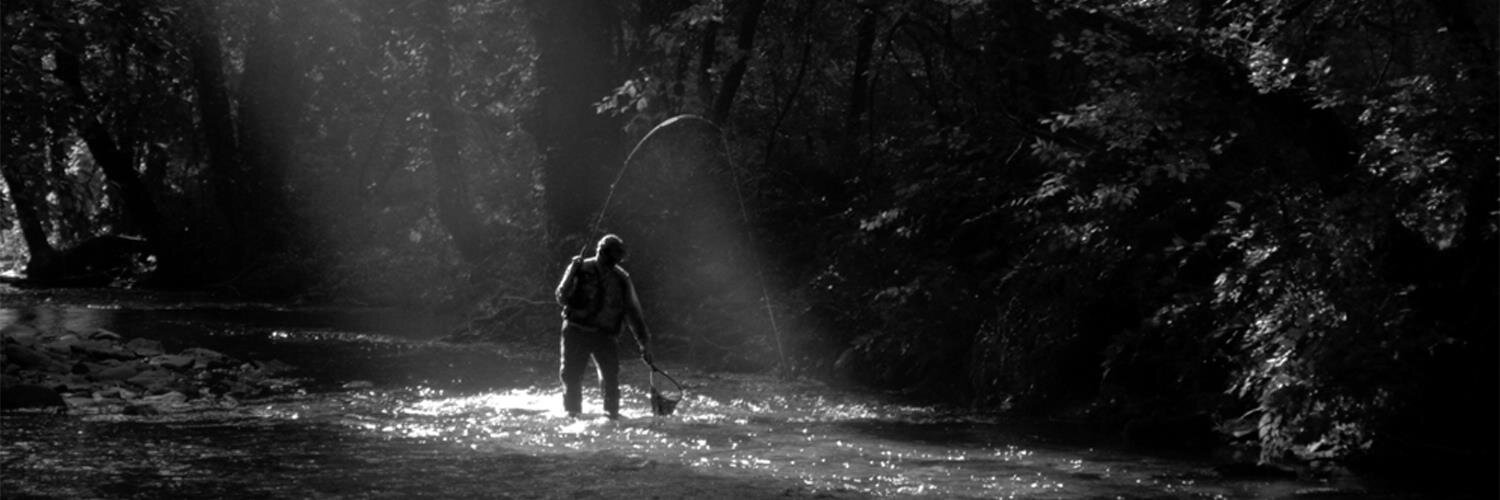 Wilsononthefly's profile banner image