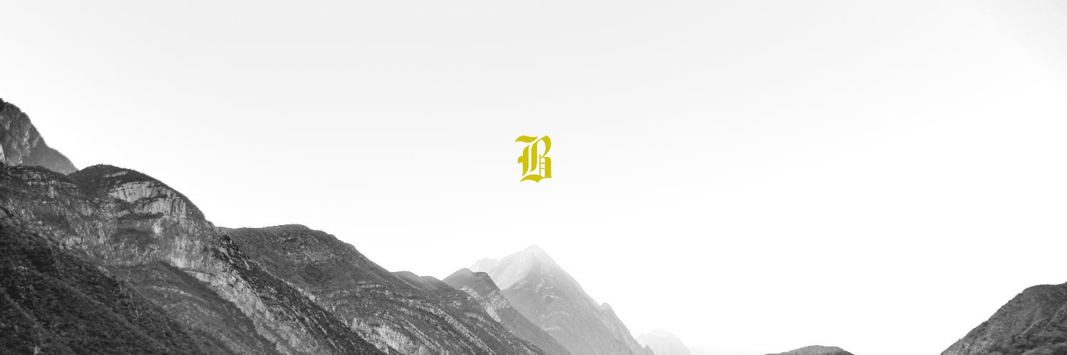 🦍 banner
