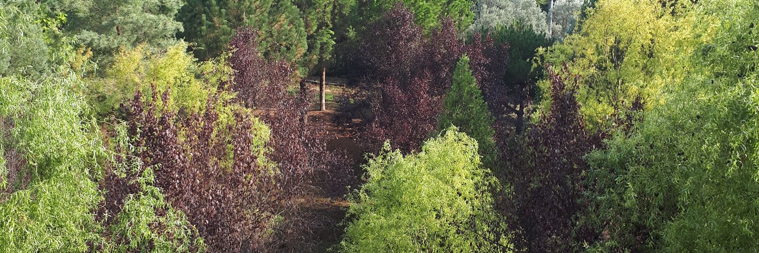 mepercin's profile banner image