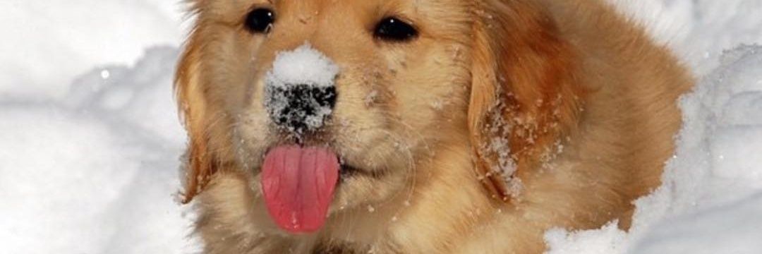 11111111111111 banner