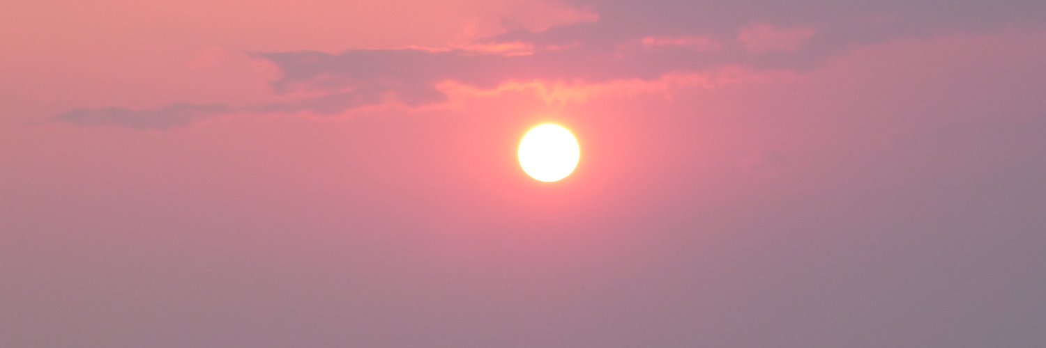 80833967499's profile banner image