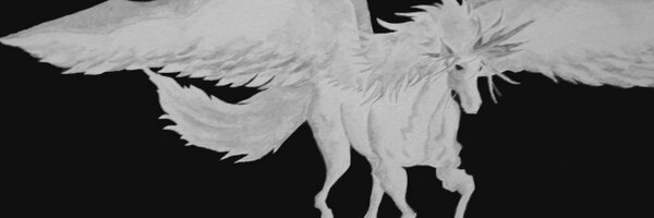 _hajdi Profile Banner