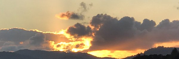 PerkinsPerspect Profile Banner