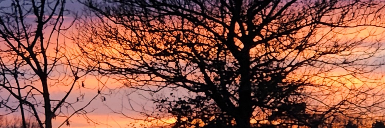 Mazcoles79's profile banner image