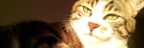 KurtissDonalddd Profile Banner