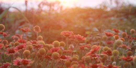 adeeka_s's profile banner image