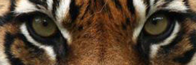 Mzwandile D Ntinezo 🇿🇦 banner