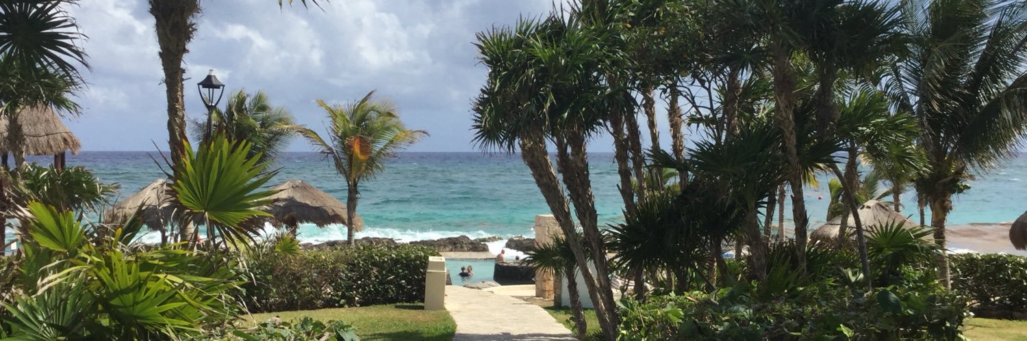 Andrew O'connor banner