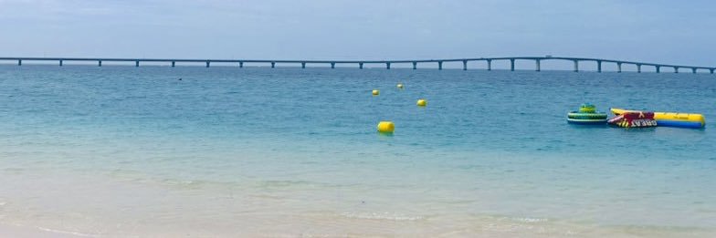 pearlsurf's profile banner image