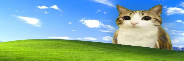 dels banner