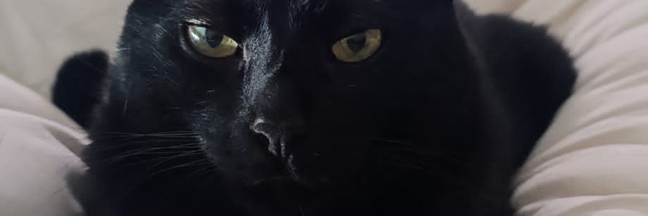 SoolMoorenoo's profile banner image