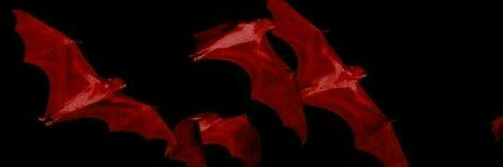 Vamper banner