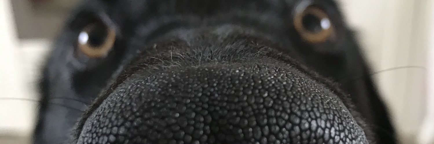 elequem29's profile banner image