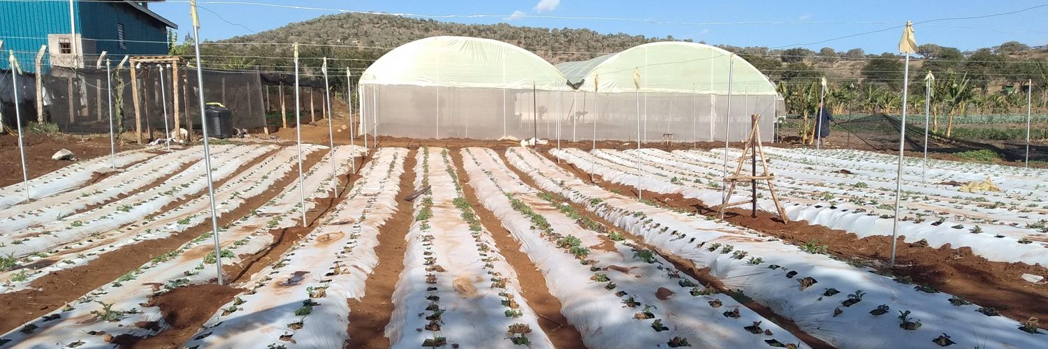 Martin Andati banner