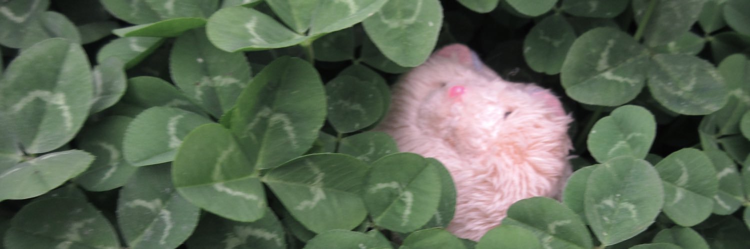 sallyhandmade__'s profile banner image