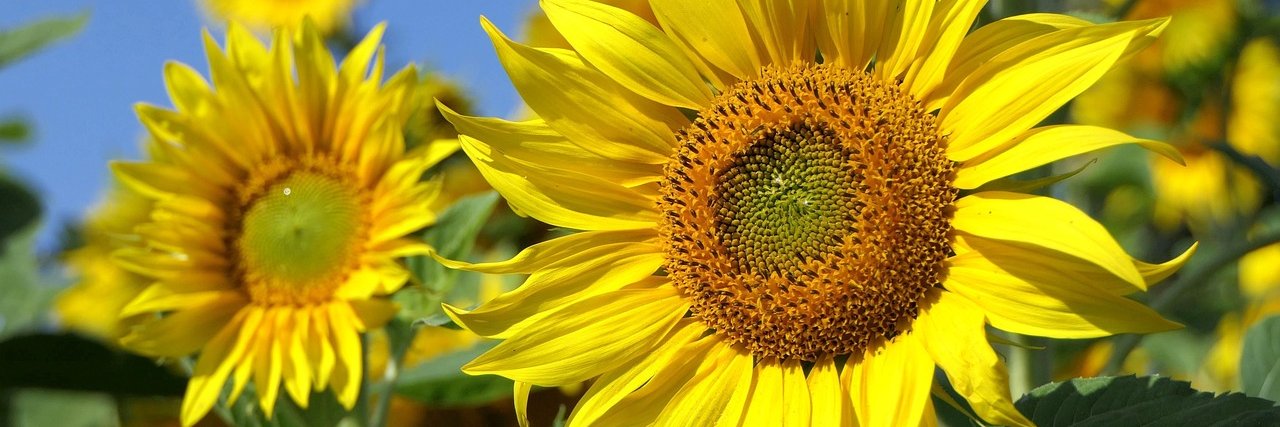 water chain🦇🔊 banner