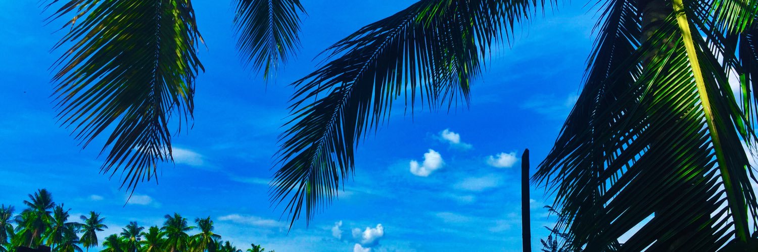 bro_madz's profile banner image