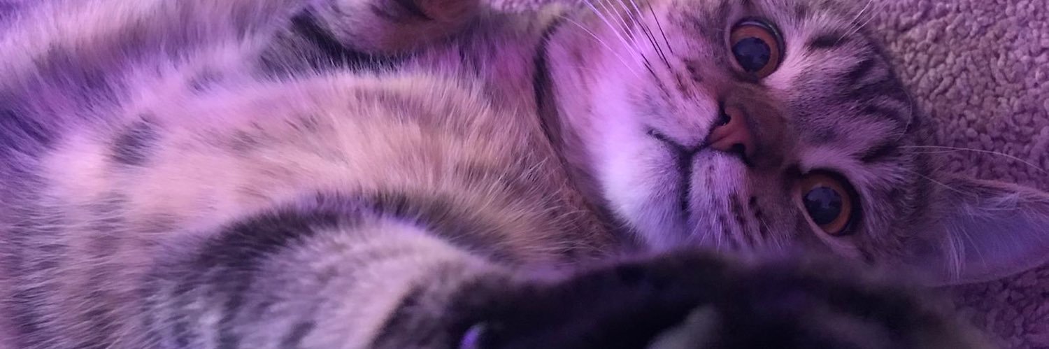 Axelirious_'s profile banner image