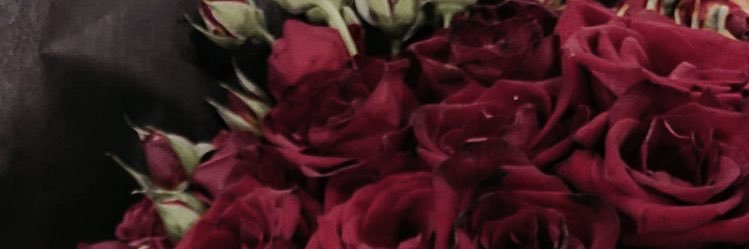bn5haliid's profile banner image
