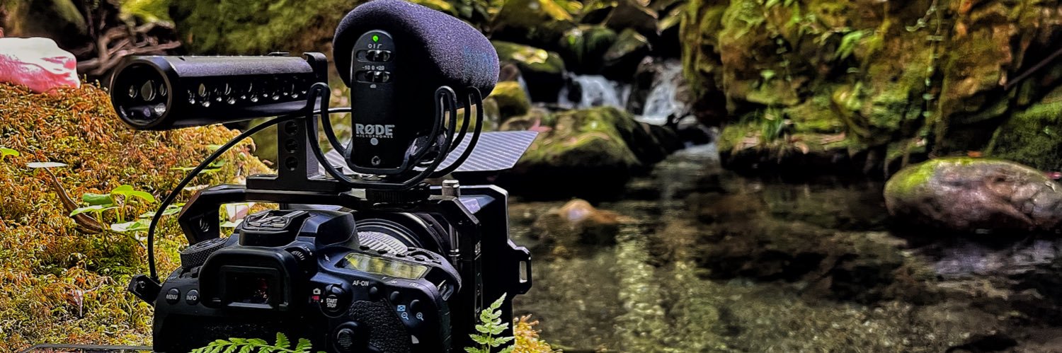 Raul Losada | Old Land Films banner