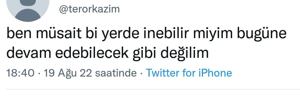 Hafizenurakkus's profile banner image