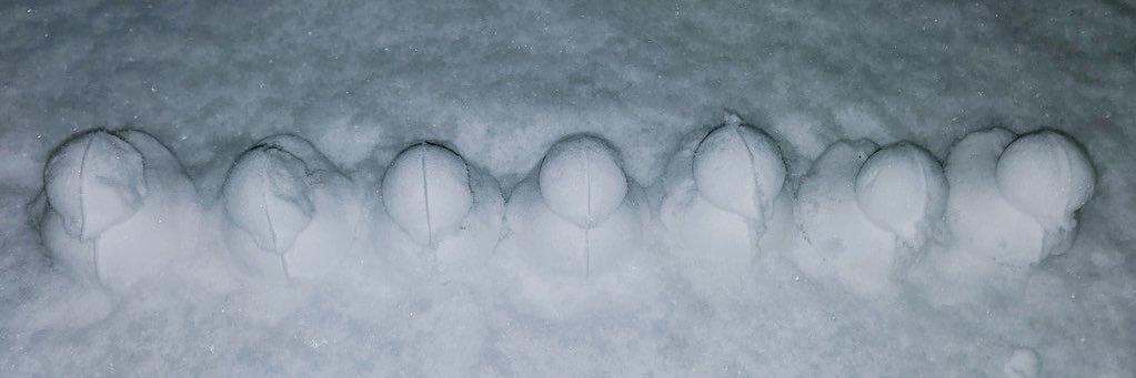 ちゃま banner