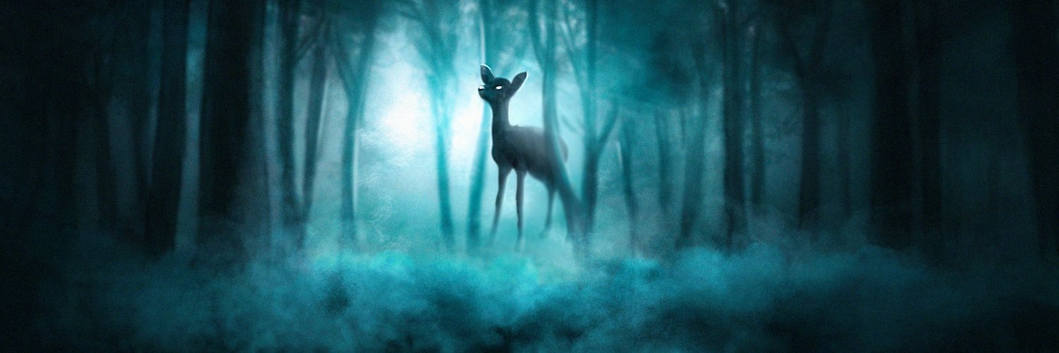 Noooodleboy's profile banner image