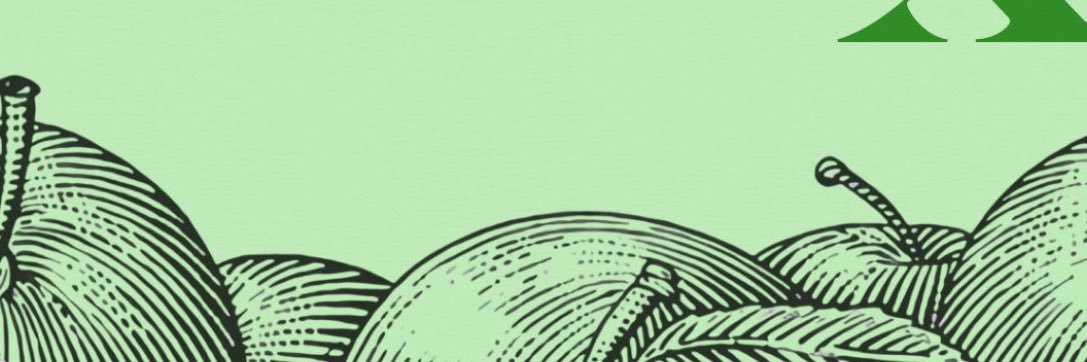 CHRONOLOGIE XO banner