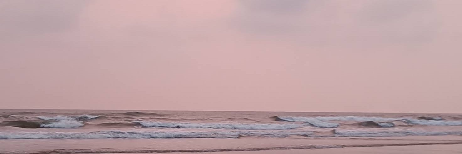 malladidj's profile banner image