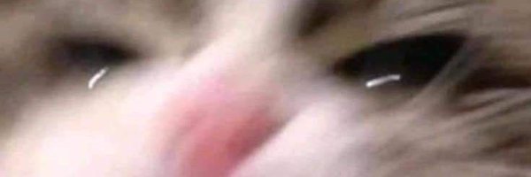 NotRealName1021 Profile Banner