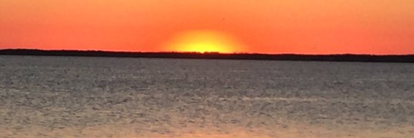 LitLadyTES Profile Banner