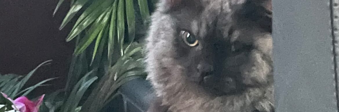 emnlll__'s profile banner image