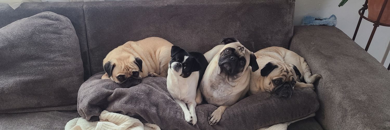 Jayson Scott🌴 banner