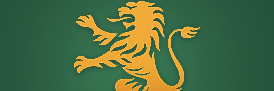 Nelson Gomes 👑🦁🟢⚪️ banner