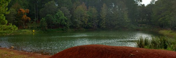 DianaVEnciso Profile Banner