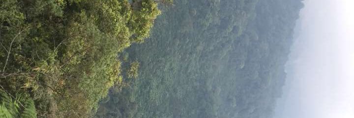 kdkd_a's profile banner image