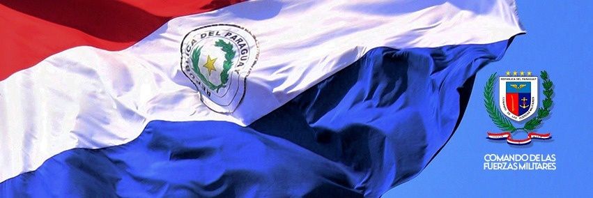 Fuerzas Militares banner
