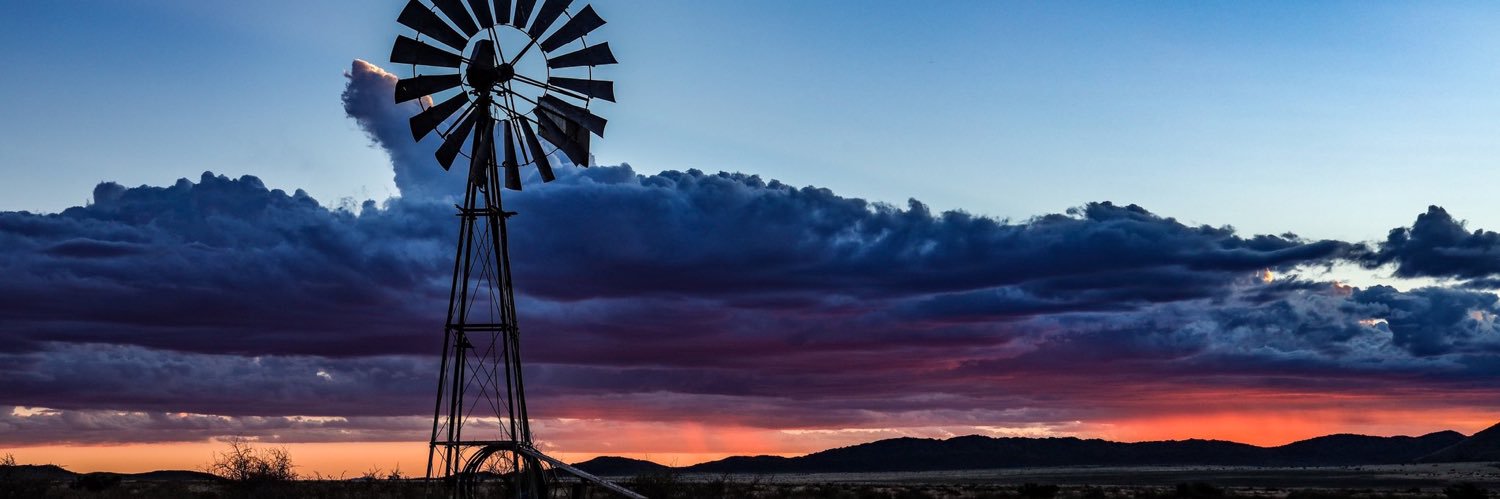 ElleB 🐾🌿 banner