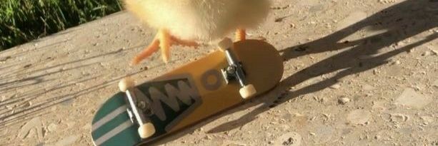 c4r13770's profile banner image